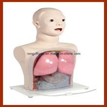 Medical Nursing Model, Nasal Feeding and Gastric Lavage Simulator
